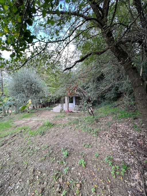 Eco-Chic Retreat: Countryside Oasis Near Florence Pozzolatico Ngoại thất bức ảnh