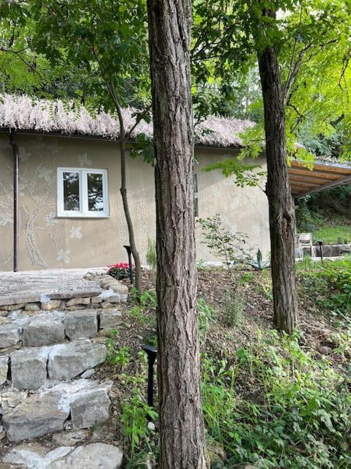Eco-Chic Retreat: Countryside Oasis Near Florence Pozzolatico Ngoại thất bức ảnh